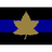 2CAB emblem