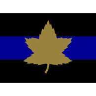 2CAB emblem
