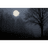 MMN emblem