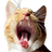 IYE emblem