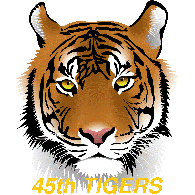 45TH emblem
