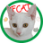 FCAT emblem
