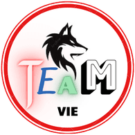 T-VIE emblem