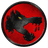 10THG emblem