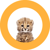 CHITA emblem