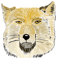 F-O-X emblem