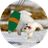 -MTN- emblem