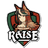 RAISE emblem