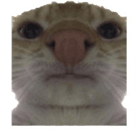 TAKEN emblem