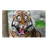 DOG emblem