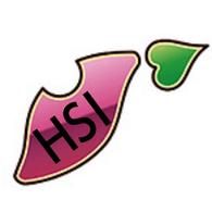 HSI emblem