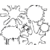 C-MAN emblem