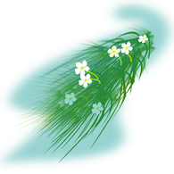 NKRDK emblem