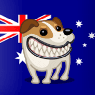 B-A-M emblem