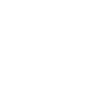 SABOT emblem