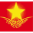 _VG_ emblem