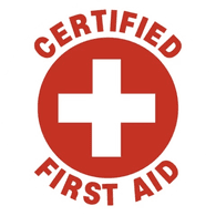 MEDIC emblem