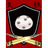 TDSR emblem
