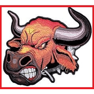 BULLS emblem