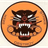 DAMD emblem