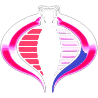 OPI emblem