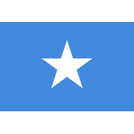 VN-GG emblem