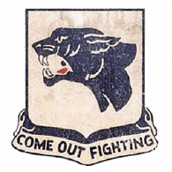 761ST emblem