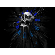 DSC emblem