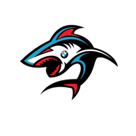 B_M_W emblem