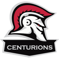 CTNS emblem