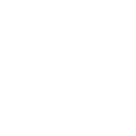 LX emblem
