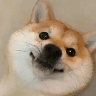 SMIRK emblem