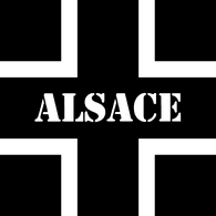 MAASS emblem