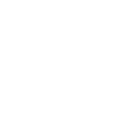SN0W emblem