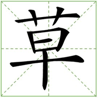 CST emblem