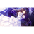 -1S emblem