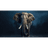 Z_0 emblem