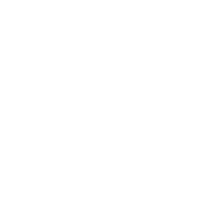 SYAG emblem