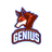 VSG emblem