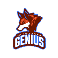 VSG emblem