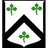CSOLO emblem