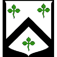 CSOLO emblem