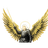 CIO emblem