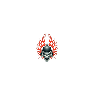 BURN emblem
