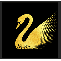 _SWN_ emblem