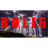 BOLIG emblem