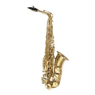 SAX emblem