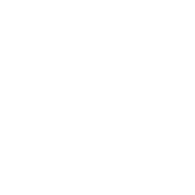 -BV- emblem