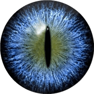IR emblem