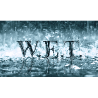 -WET- emblem
